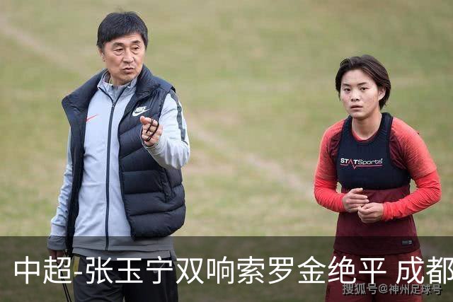 中超-张玉宁双响索罗金绝平 成都连扳两球2-2国安4连平