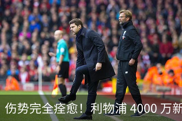 伤势完全痊愈！利物浦 4000 万新援迎世界杯首秀，西班牙边路解燃眉之急