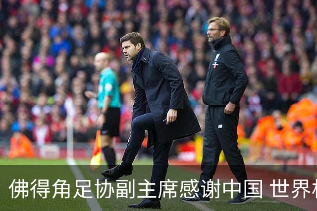 佛得角足协副主席感谢中国 世界杯后将安排与国足友谊赛