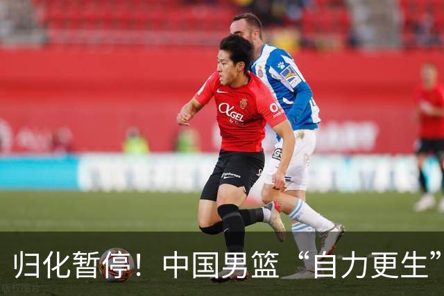 归化暂停！中国男篮“自力更生”与“现实困境”！
