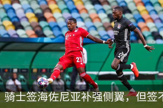 骑士签海佐尼亚补强侧翼，但签不下库明加就是失败